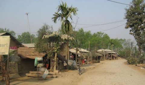 Sauraha, Sauraha