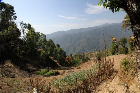 Trek to Shivapuri National Park, Shivapuri National Park Day Hike