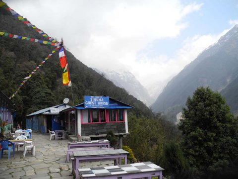 Guest House, Sinuwa