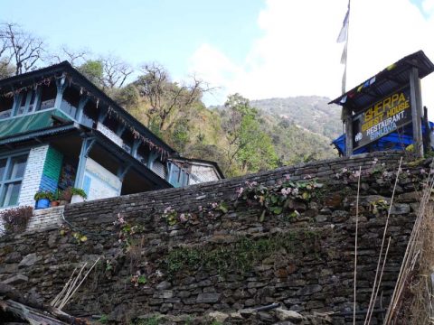 Sherpa Guest House, Sinuwa