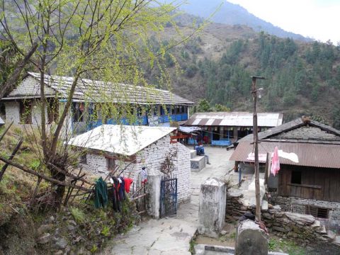British Gorkha, Siprong