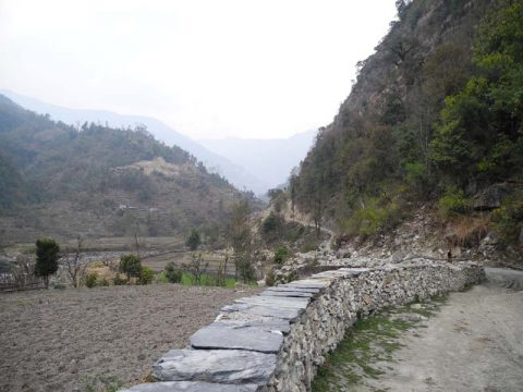Trail to Sudame, Sudame
