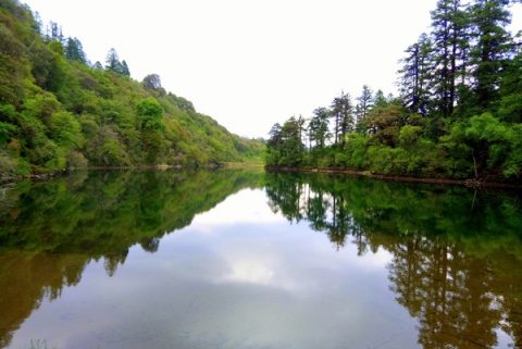 Pacific  Khaptad Lake, Sudurpashchim Pradesh