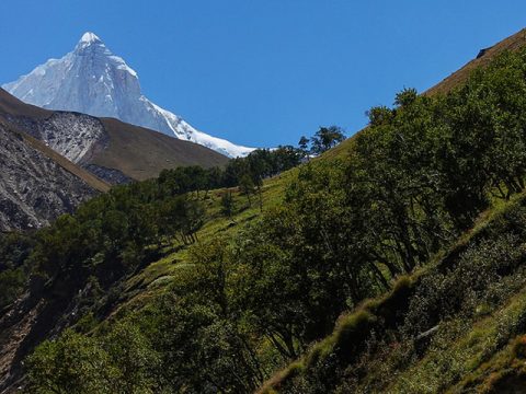 Thalay Sagar, Thalay Sagar