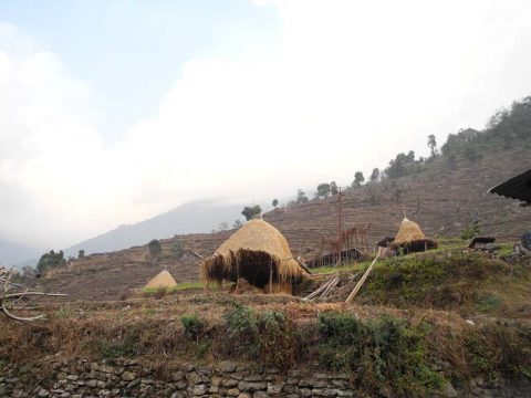 Hay Storage, Tikhedhunga