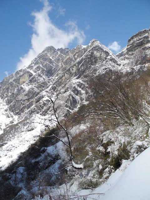 Cliffs Modi Khola, Trail Chhomrong to ABC