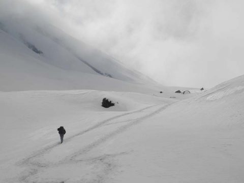 Lone Trekker, Trail Chhomrong to ABC