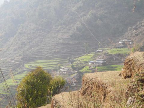 Farming in Nepal, Trail Chhomrong to Nayapul