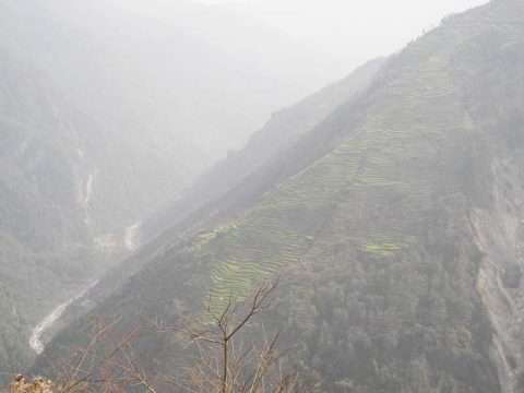 Terraces Modi Khola, Trail Chhomrong to Nayapul