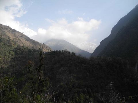View of Annapurna, Trail Chhomrong to Nayapul