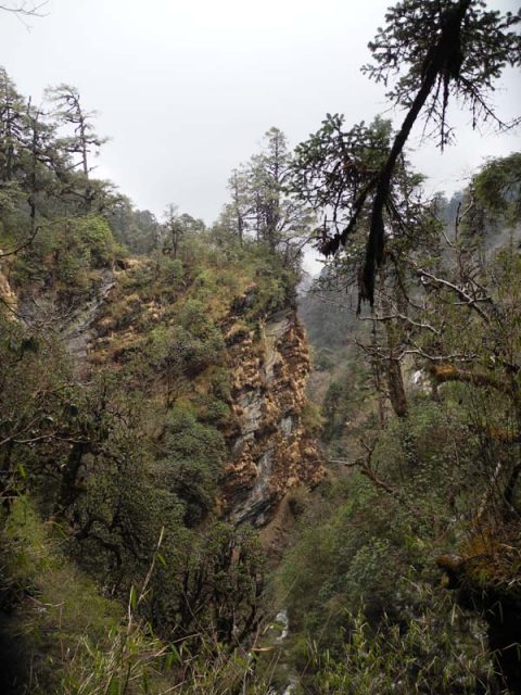 Cliffs Deurali Pass, Trail Ghorepani to Tadapani