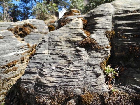 Himalayan Quartzite, Trail Ghorepani to Tadapani