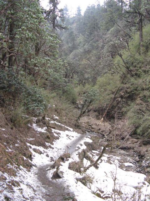 Trail Deurali, Trail Ghorepani to Tadapani