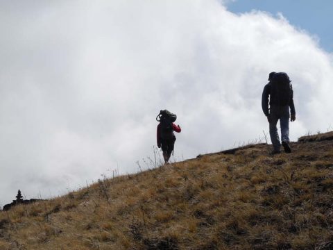 Trekkers Deurali Pass, Trail Ghorepani to Tadapani
