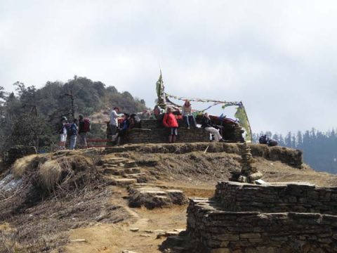 Way to Deurali Pass, Trail Ghorepani to Tadapani