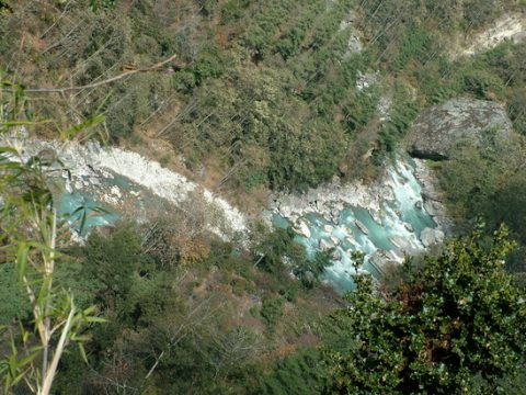 Pineforests Milkriver, Trail Lukla to Phakding