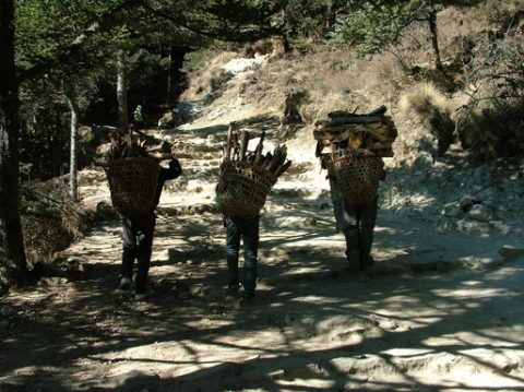 People Getting Wood for Their Homes Around Tengboche, Trail Namche to Tengboche