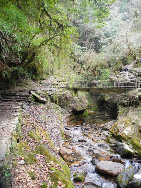 Bhurungdi Khola, Trail Nayapul to Ghorepani