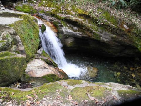 Small Waterfall, Trail Nayapul to Ghorepani