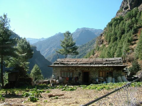 Little Farms Going to Namche, Trail Phakding to Namache