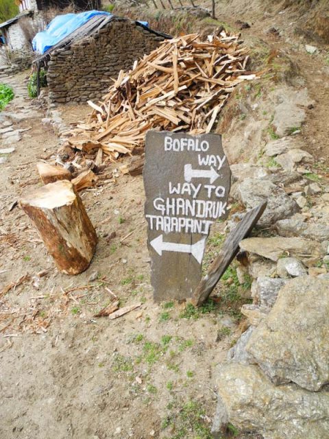 Sign for Directions, Trail Tadapani to Chhomrong