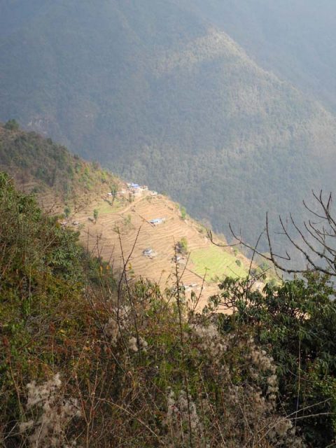 Sunlight on Terraces, Trail Tadapani to Chhomrong