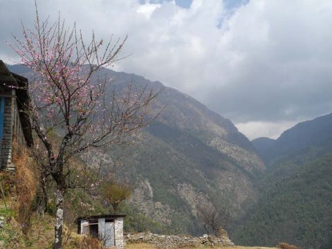 Bhurungdi Khola, Ulleri