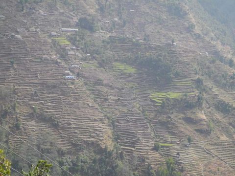 Terraces Bhurungdi Khola, Ulleri