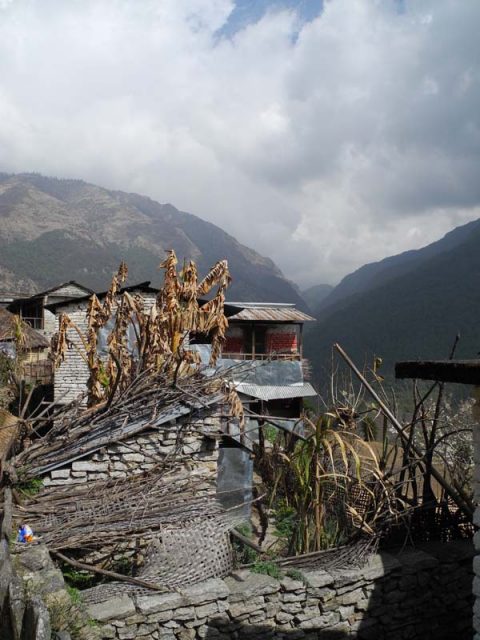 Ulleri View, Ulleri