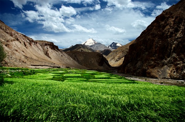 Markha Valley