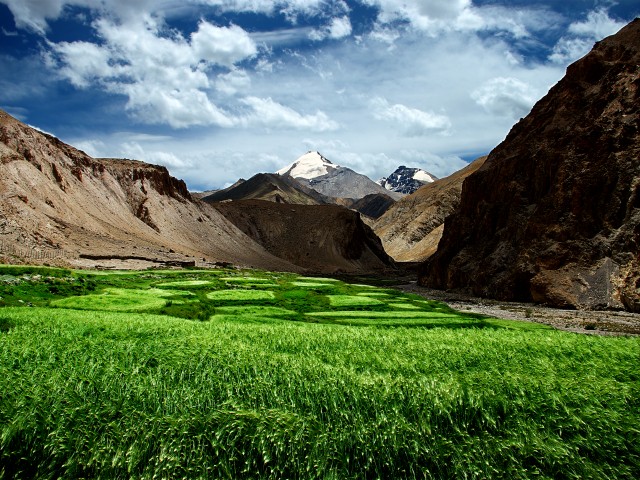 Markha Valley