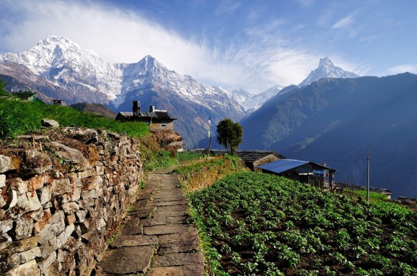 On the trail to the Annapurna Base Camp