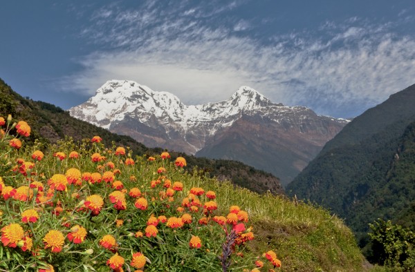 View of the Annapurna South from trek near Jhinu Danda