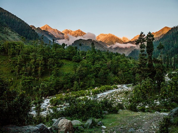 kashmir