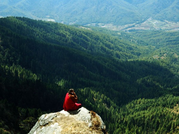 Bumthang Owl Trek Forested Ridge