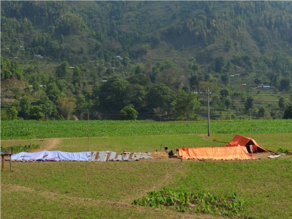 Living under Tarps