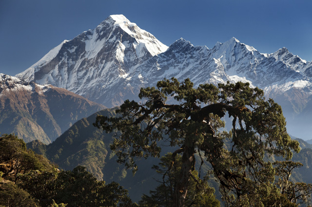 Dhaulagiri
