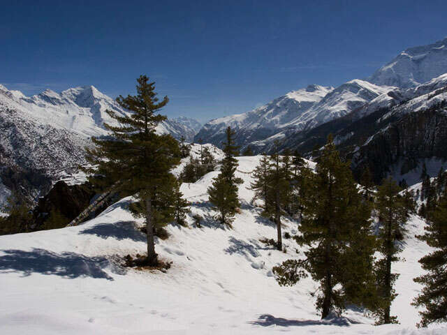Looking back towards Manaslu