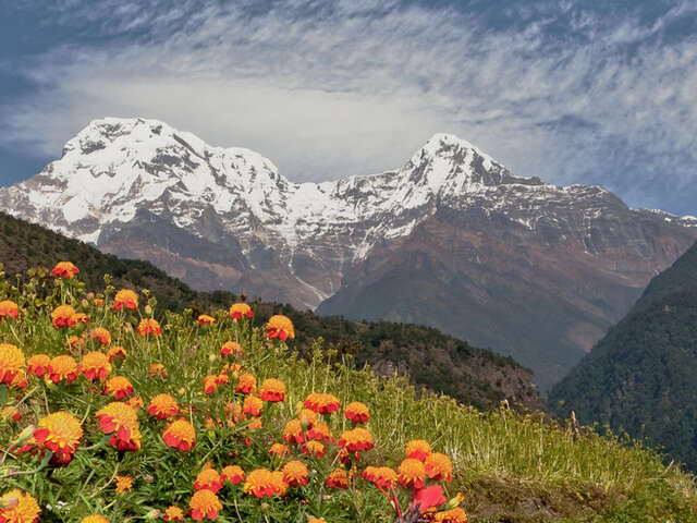View of Annapurna South